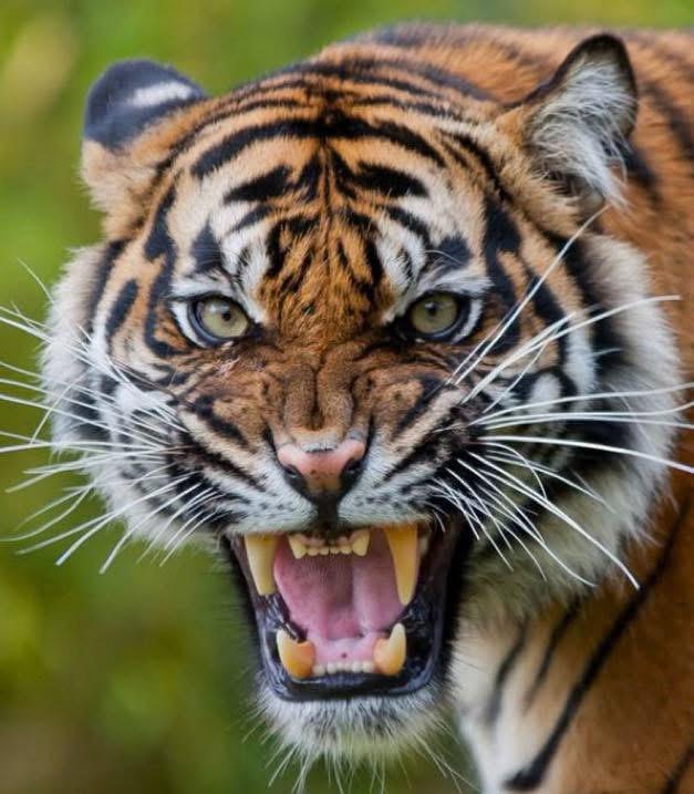 WhatsApp Image 2025-06-30 at 5.31.39 AM (7)