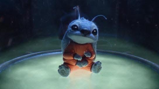 WhatsApp Image 2025-07-06 at 4.52.27 PM