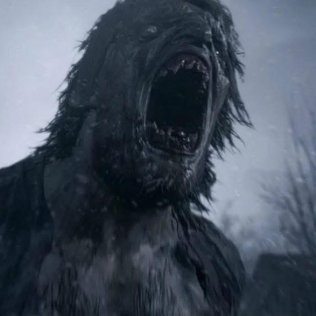 WhatsApp Image 2025-11-06 at 8.12.56 PM (3)