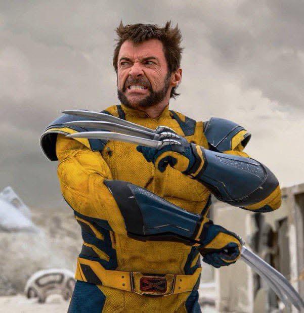 WhatsApp Image 2025-11-23 at 5.44.21 PM (3)