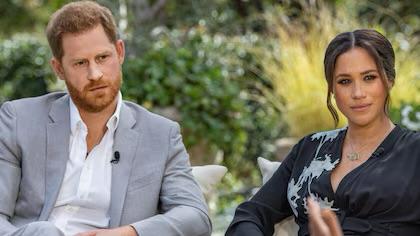 WhatsApp Image 2026-03-26 at 4.53.26 PM (4)