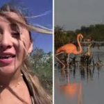 Elisa La Yuca flamencos