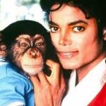 ¿Michael Jackson dejó herencia millonaria a Bubbles?